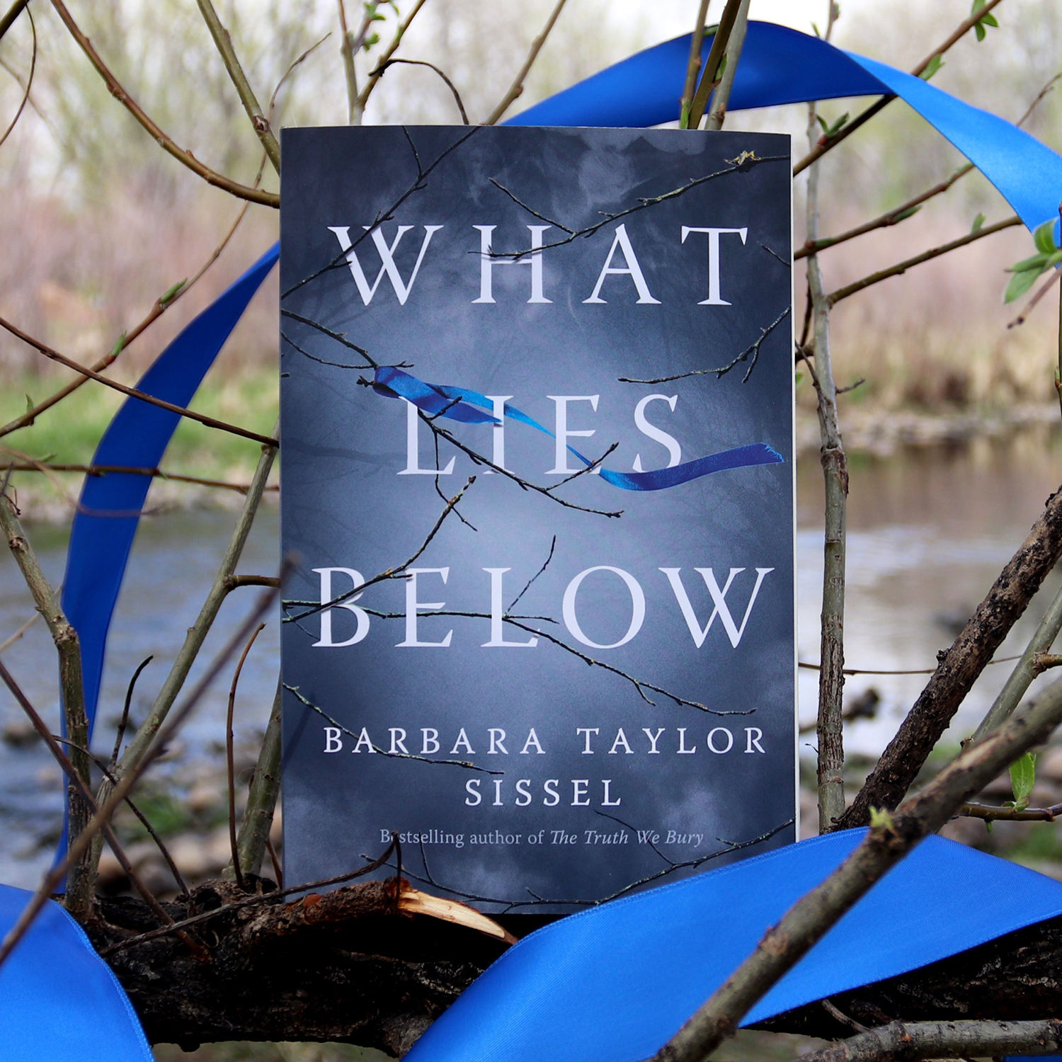 What Lies Below by Barbara Taylor Sissel | Photography for Amazon Publishing | Rubber Duck Creative