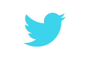 Twitter Logo | Rubber Duck Creative